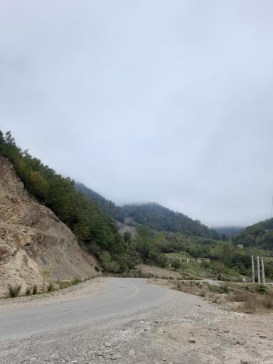 عکس ملچ آرام