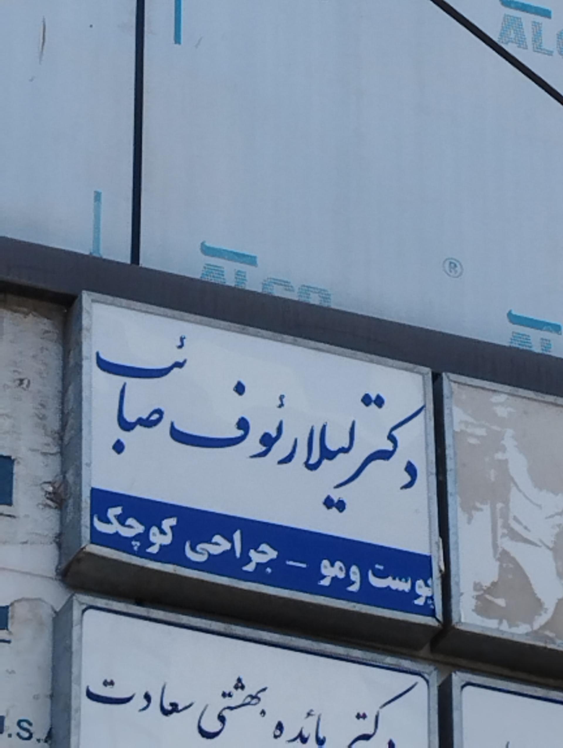 عکس دکتر لیلا رئوف صائب