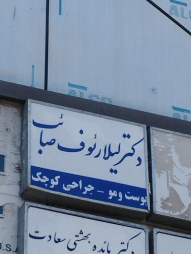 عکس دکتر لیلا رئوف صائب