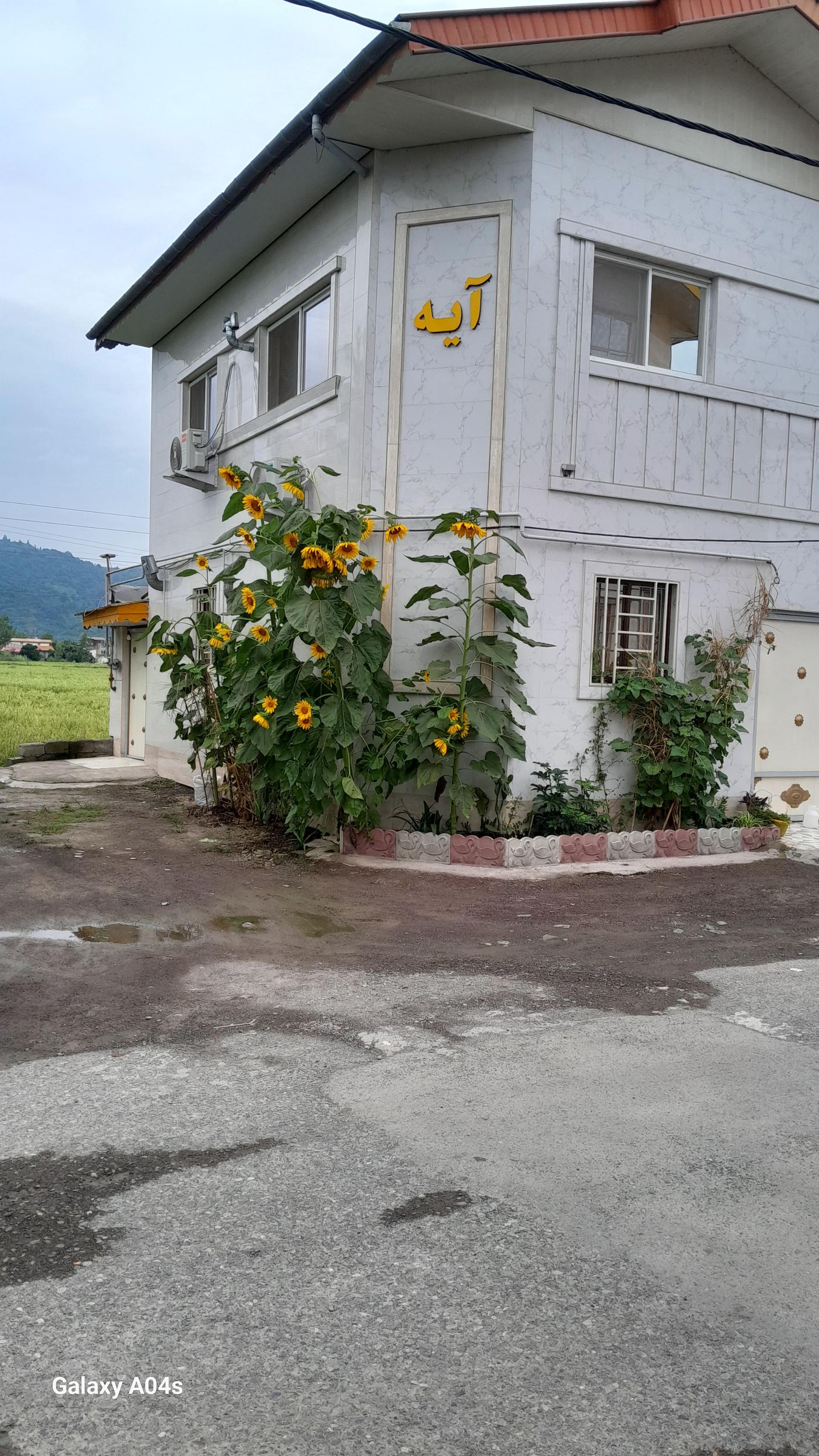 عکس ساختمان آیه