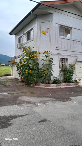 عکس ساختمان آیه