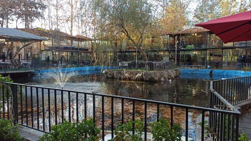 عکس رستوران داریوش