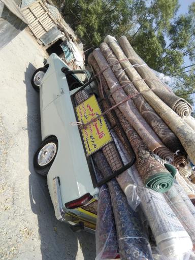 عکس قالیشویی فرجی