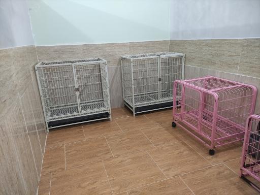 عکس کلینیک دامپزشکی گلستان 