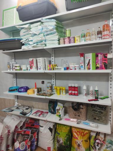 عکس کلینیک دامپزشکی گلستان 