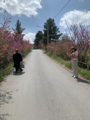 عکس پارک پیشکوه