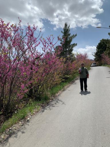 عکس پارک پیشکوه