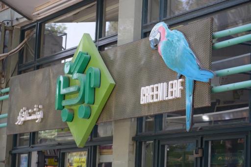 عکس لوازم التحریر برگ سبز