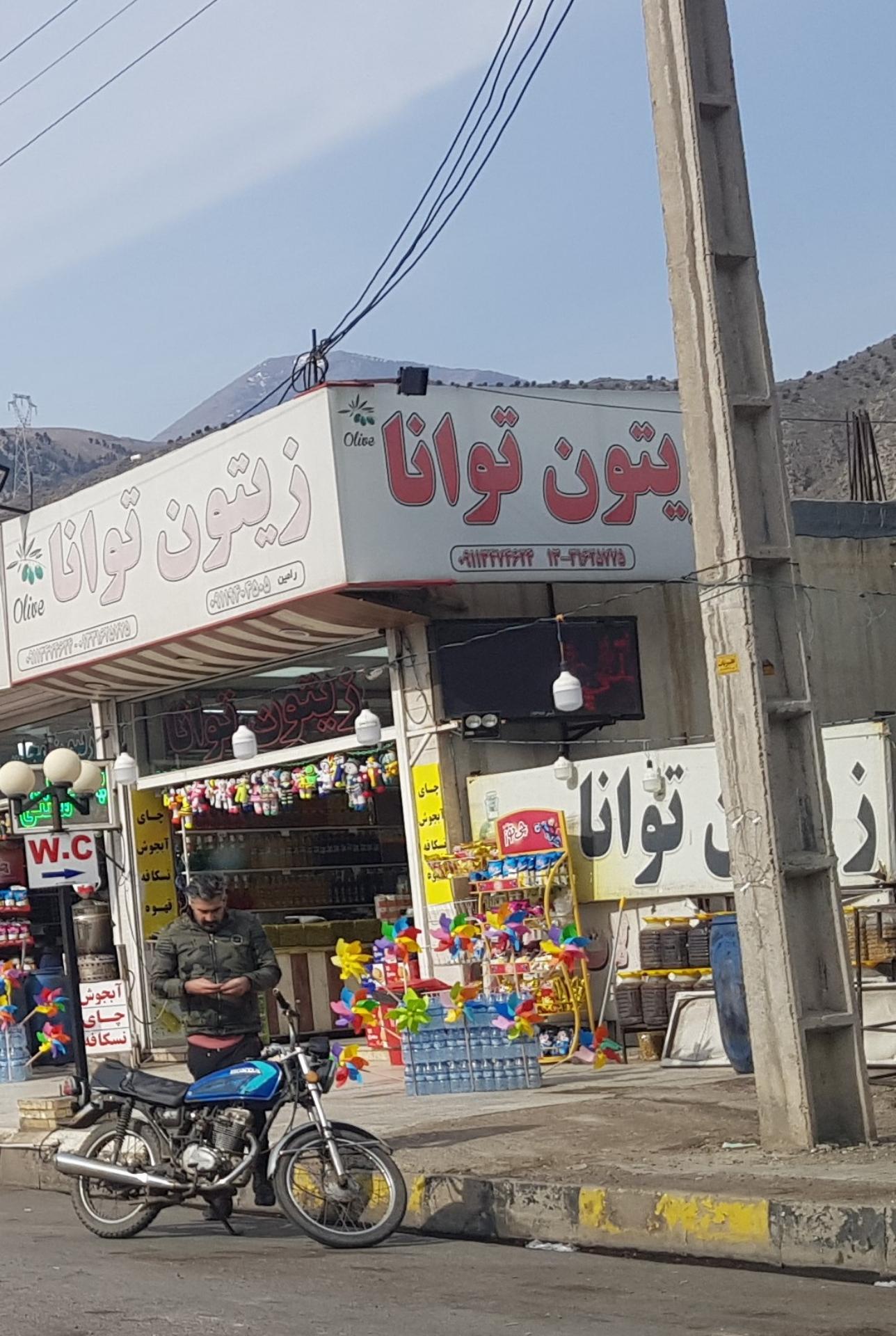 عکس زیتون توانا