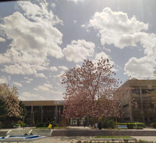 عکس دانشکده علوم