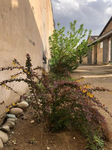 عکس کارخانه پارس نشکن اصل