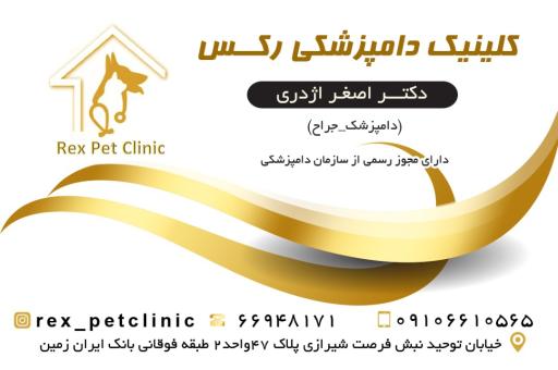 عکس کلینیک دامپزشکی رکس