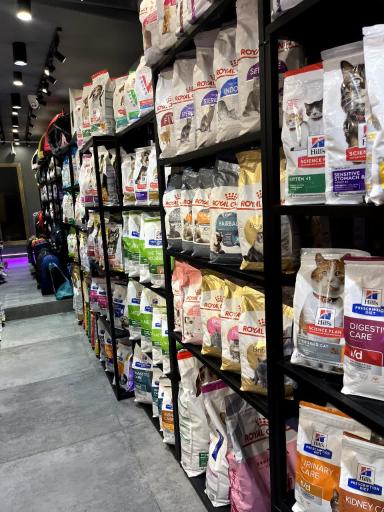 عکس پت شاپ فرشته