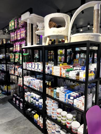 عکس پت شاپ فرشته