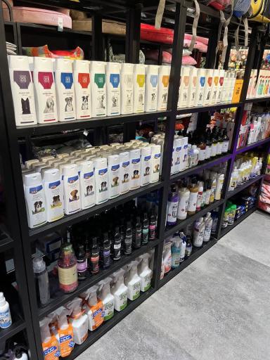 عکس پت شاپ فرشته