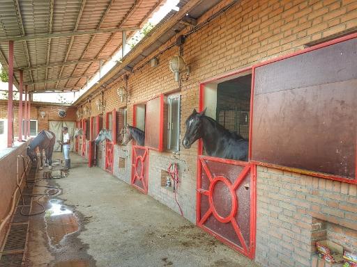 عکس باشگاه سوارکاری پیام