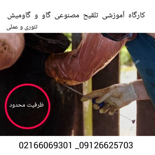 آموزشگاه کشاورزی فراساحل نگار