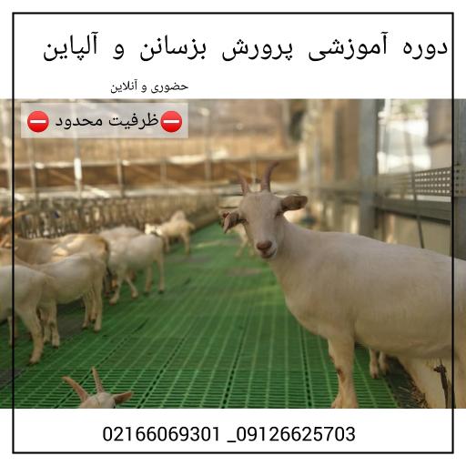 عکس آموزشگاه کشاورزی فراساحل نگار