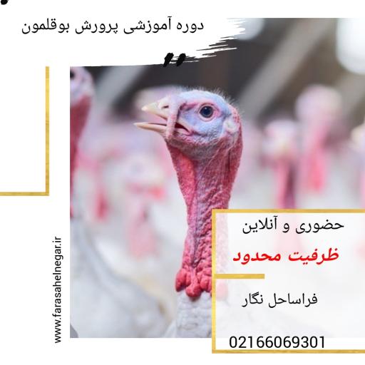 عکس آموزشگاه کشاورزی فراساحل نگار