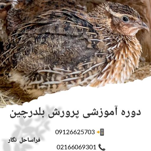 عکس آموزشگاه کشاورزی فراساحل نگار