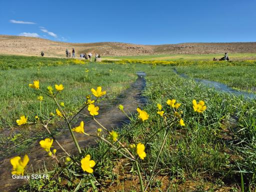 عکس آباده