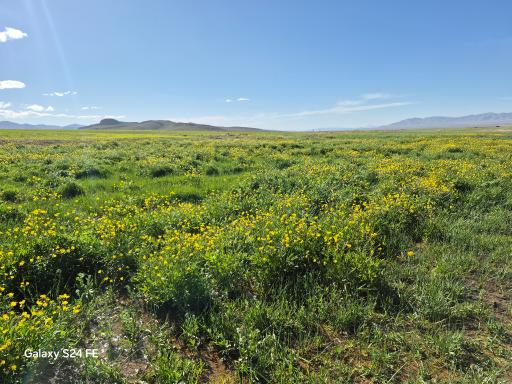 عکس آباده
