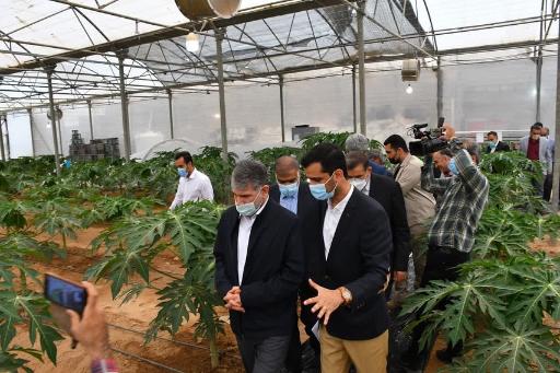 عکس آموزشگاه کشاورزی فراساحل نگار