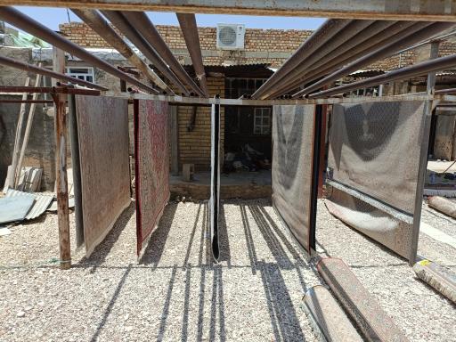 عکس قالیشویی میلاد