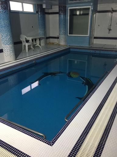 عکس ویلای صفرخانی