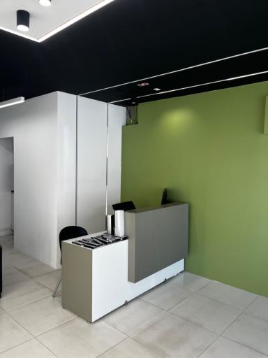 عکس فروشگاه لاینر و نورخطی و چراغ خطی نیک الکتریک