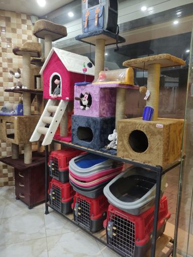 پت شاپ کاشان پت