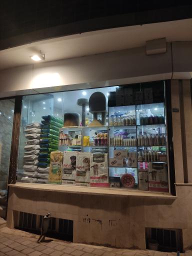 عکس پت شاپ کاشان پت