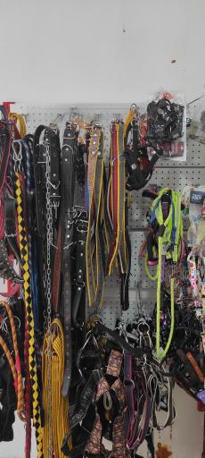 عکس کلینیک دامپزشکی دکتر پلاشی 