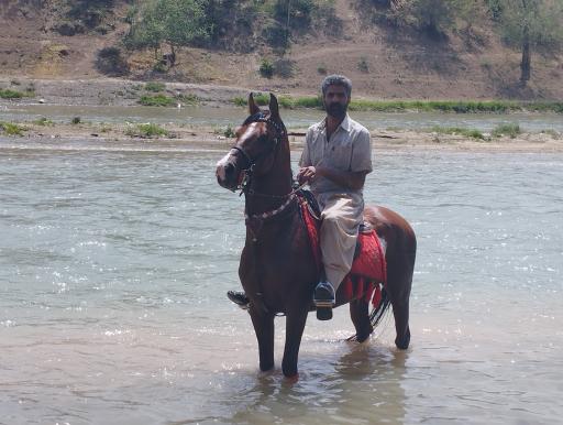 عکس رودخانه زاینده‌ رود