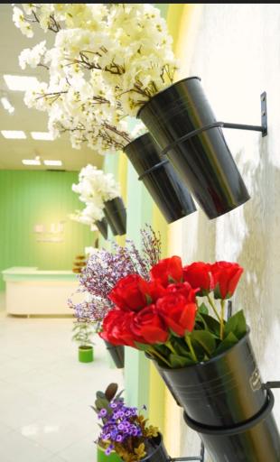 عکس گلسرای آسو 