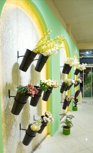 عکس گلسرای آسو 