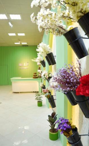 عکس گلسرای آسو 