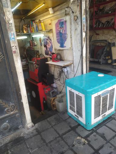 عکس برق خودرو رضا