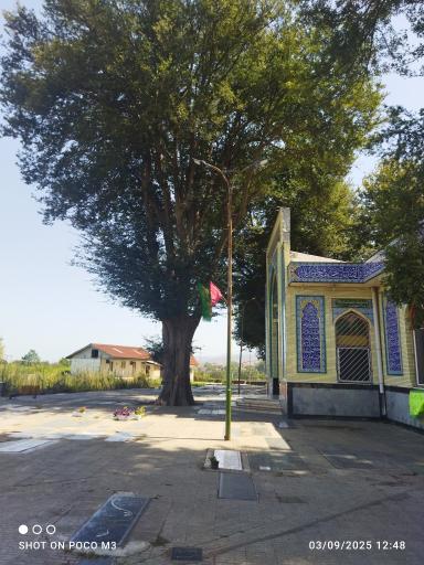 عکس گلزار شهدا ماچیان