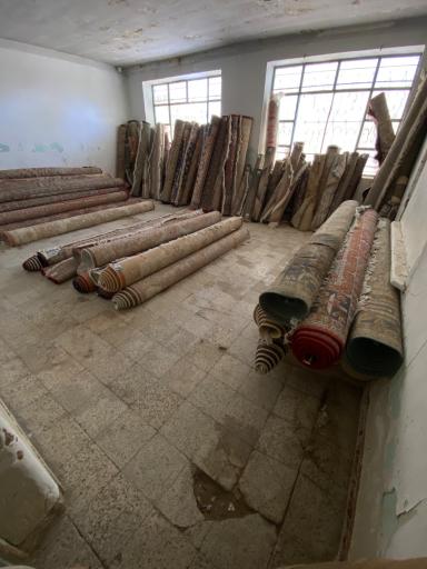 عکس قالیشویی المهدی