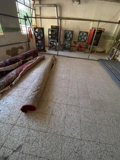 عکس قالیشویی المهدی