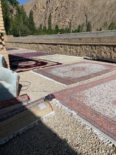 عکس قالیشویی المهدی
