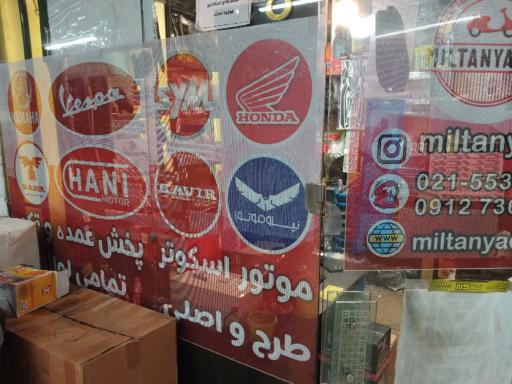 عکس میلتن یدک 