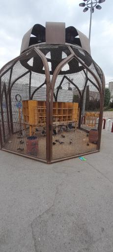 عکس کبوتر خانه حرم مطهر