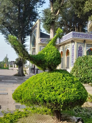 عکس گلزار شهدا ماچیان