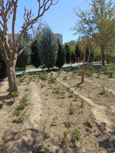 عکس پارک باصفا 1