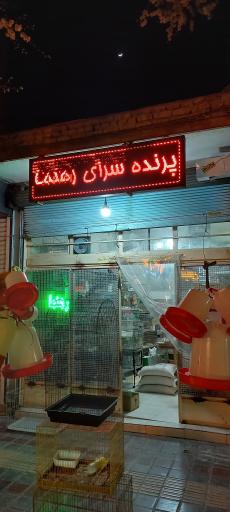 عکس پرنده سرای رهنما