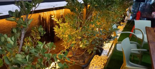 عکس کترینگ پانی