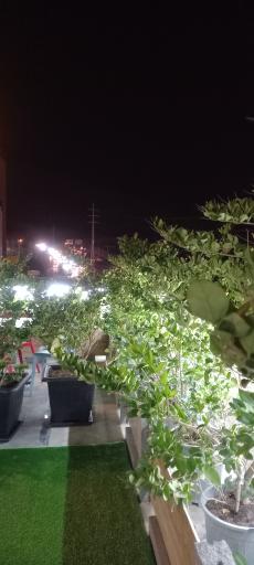 عکس کترینگ پانی