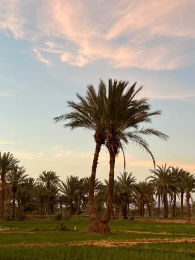 عکس مبارکه